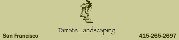 Tamate Landscaping