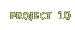 Project 10