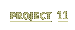 Project 11