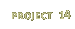 Project 14