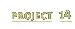 Project 14