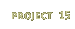 Project 15