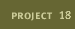 Project 18