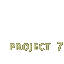 Project 7